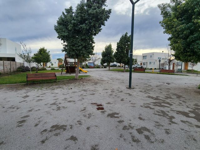 place photo 45