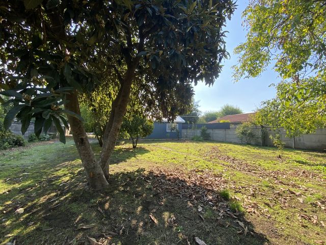 place photo 37