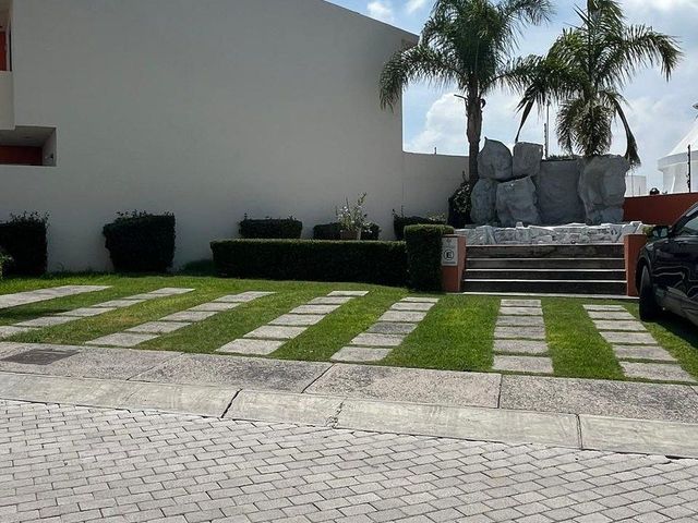place photo 29