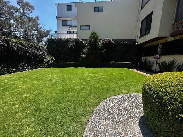 place photo 25