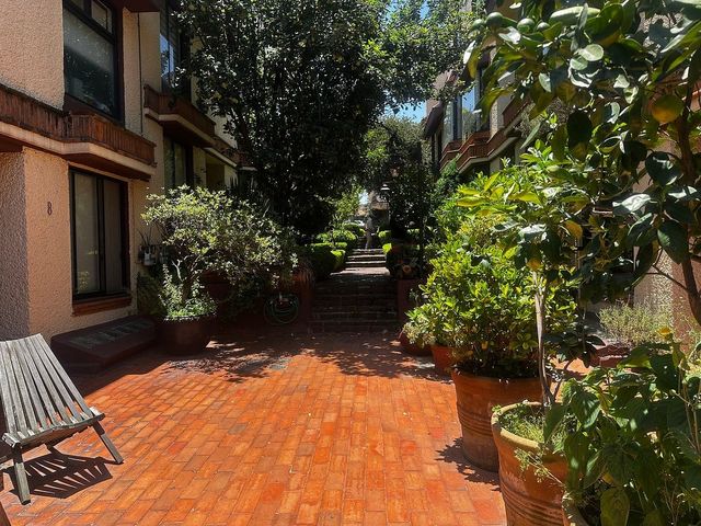 place photo 23
