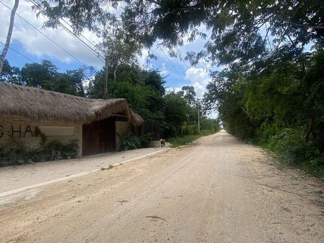 place photo 20