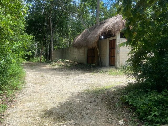 place photo 14