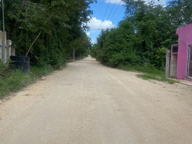 place photo 19