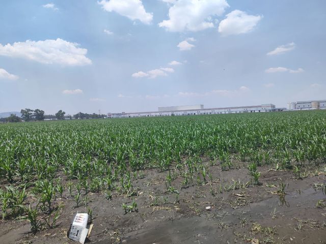 place photo 19
