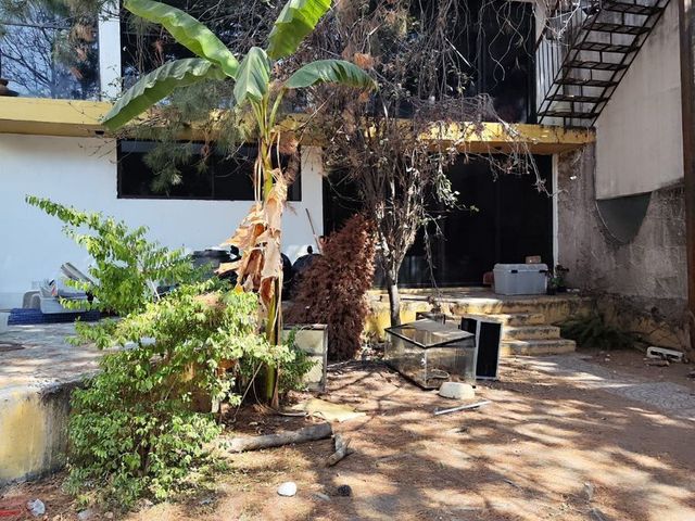 place photo 45