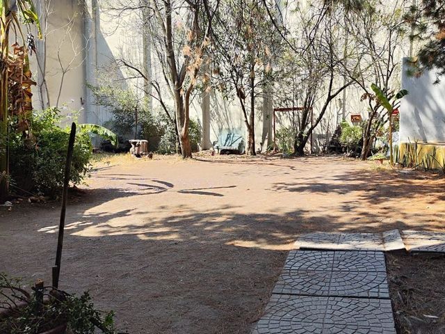 place photo 43