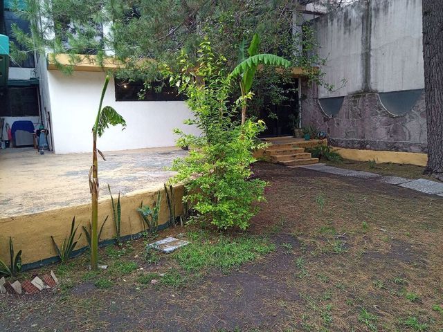 place photo 30