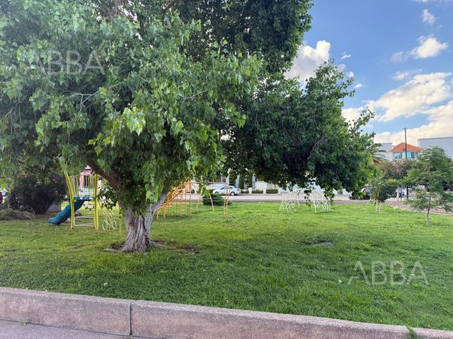 place photo 37