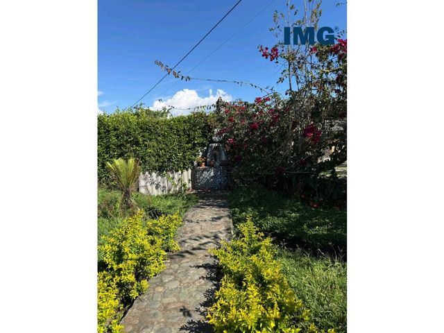 place photo 43