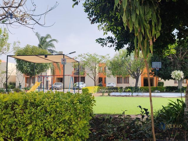 place photo 17