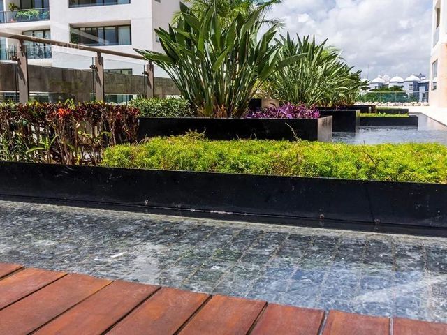 place photo 33