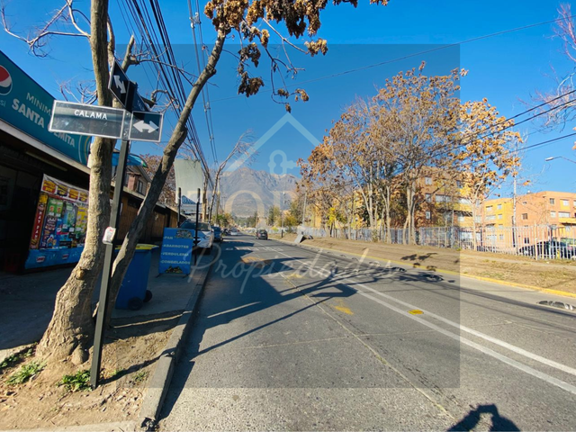 place photo 17