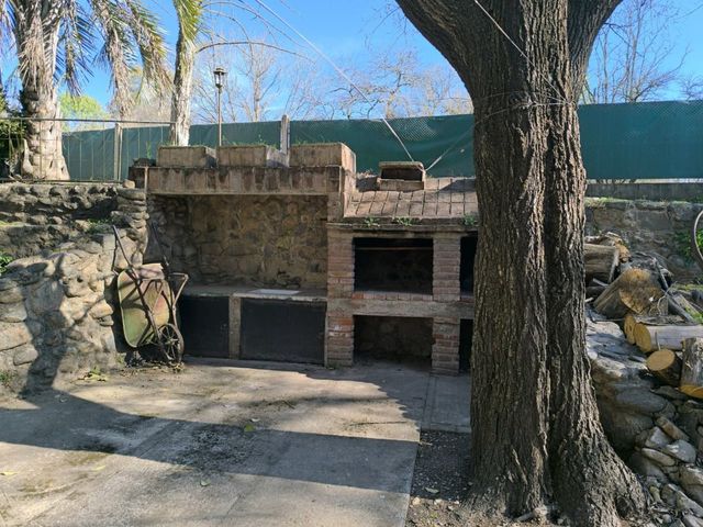 place photo 50