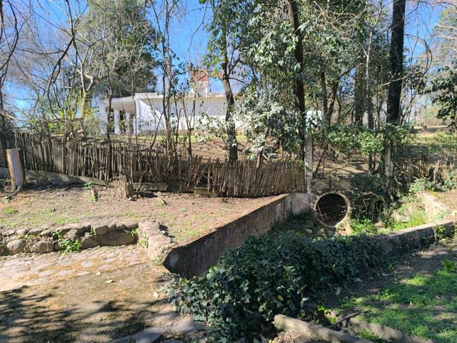 place photo 48