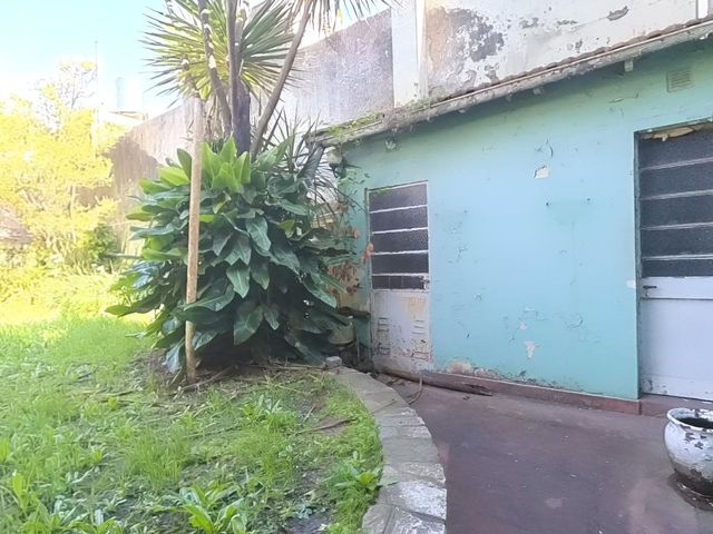 place photo 42