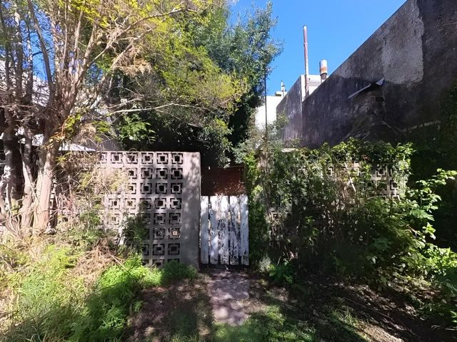 place photo 44