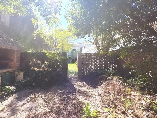 place photo 46