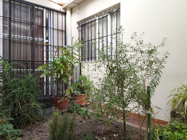 place photo 34