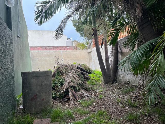 place photo 26