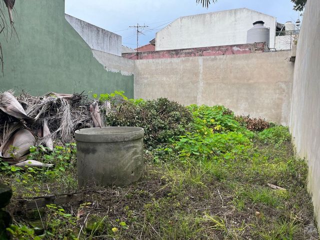 place photo 27