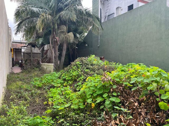 place photo 31