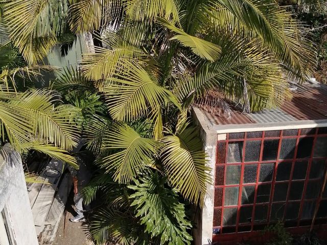 place photo 35