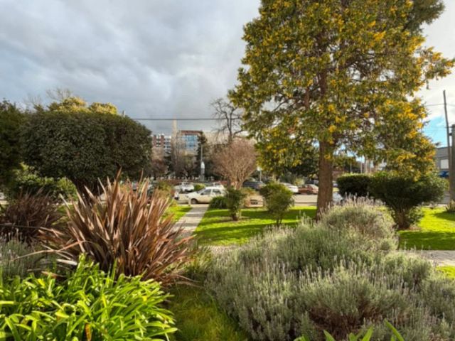 place photo 13