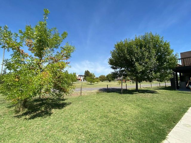 place photo 41