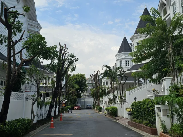 place photo 46