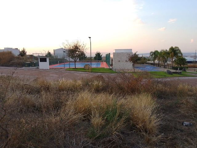 place photo 13