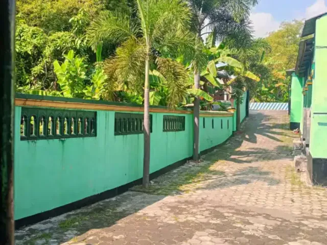 place photo 2