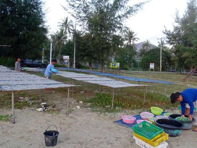 place photo 42