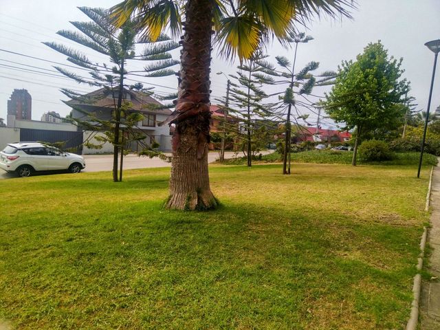 place photo 66