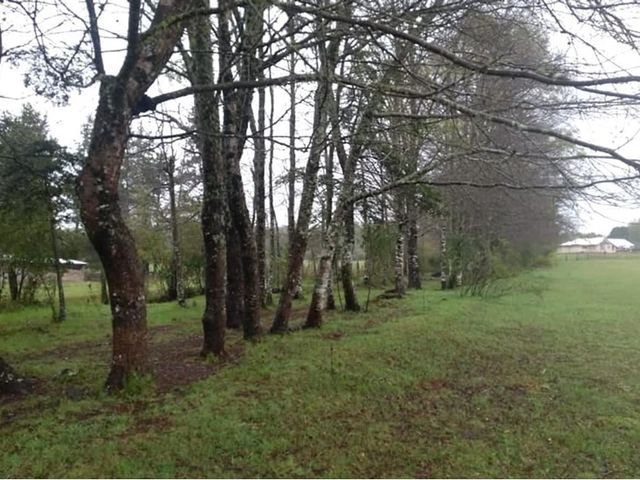 place photo 38