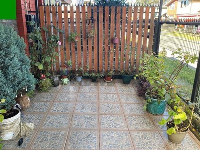 place photo 38