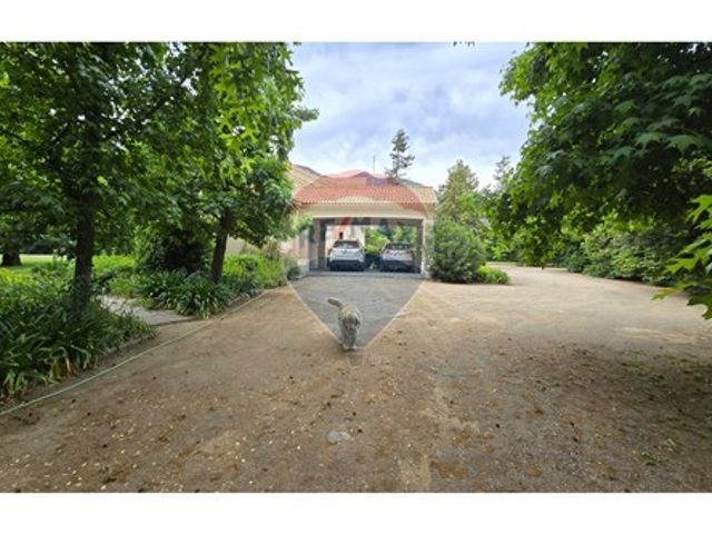 place photo 47