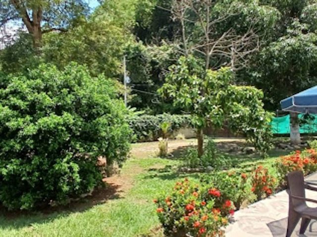 place photo 22