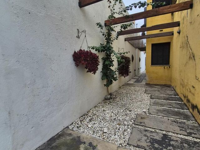 place photo 81