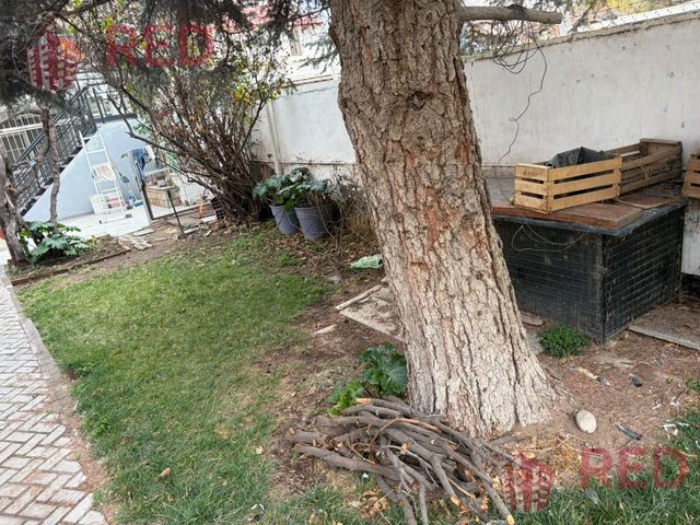 place photo 67
