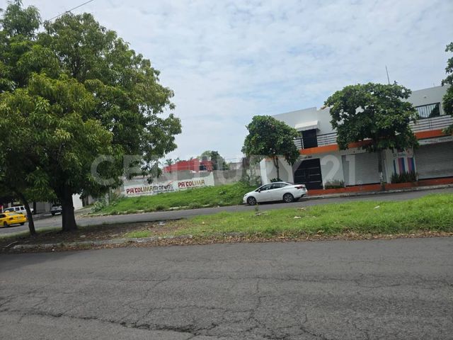 place photo 4