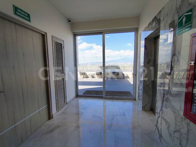 place photo 37