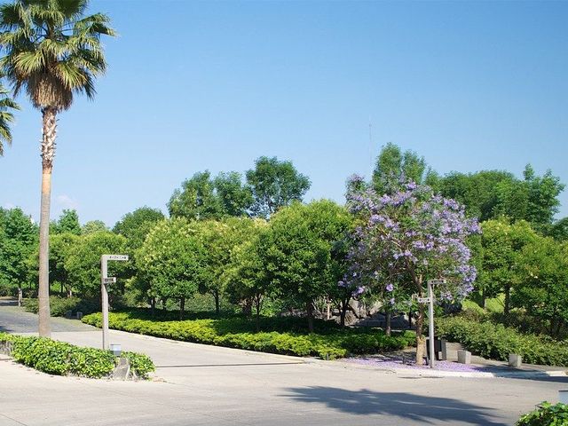 place photo 32