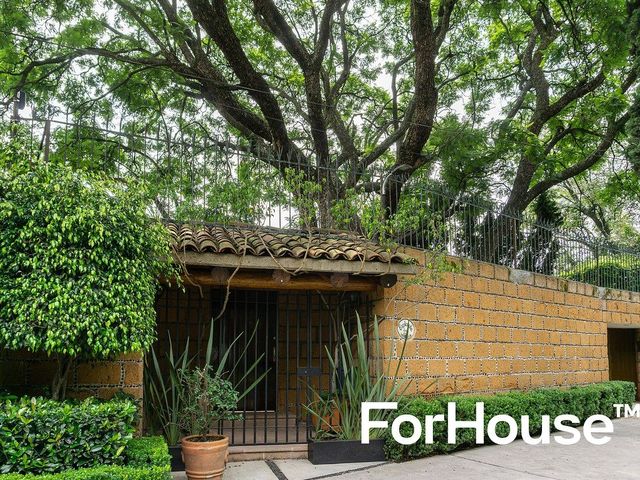 place photo 32
