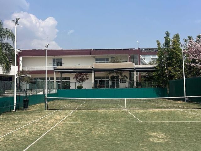 place photo 16