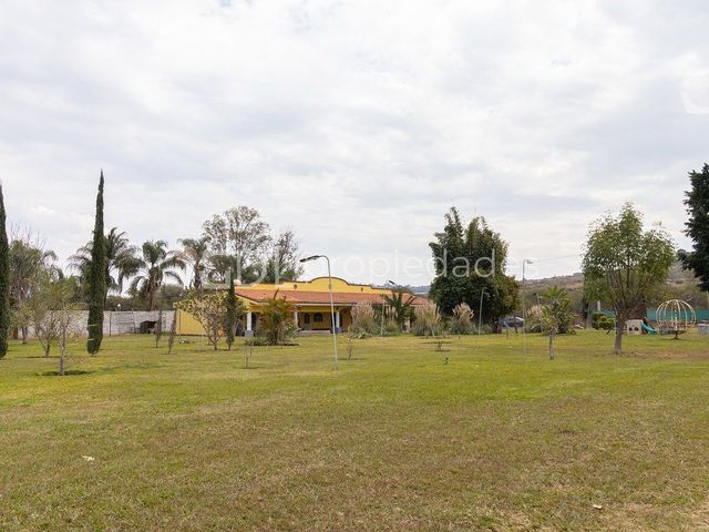 place photo 38