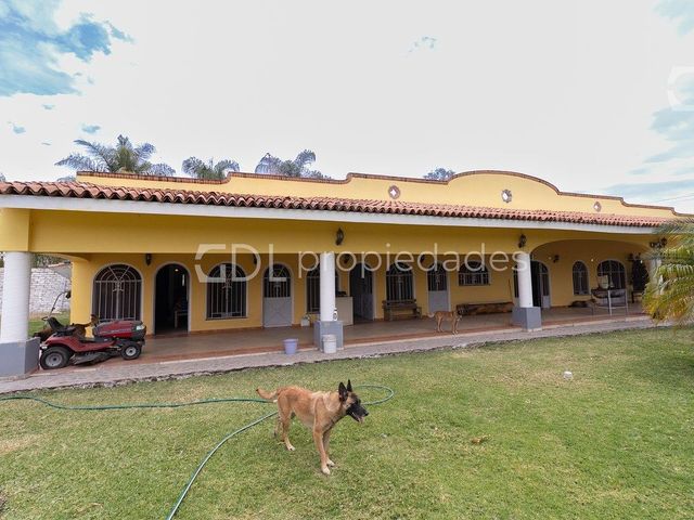 place photo 46