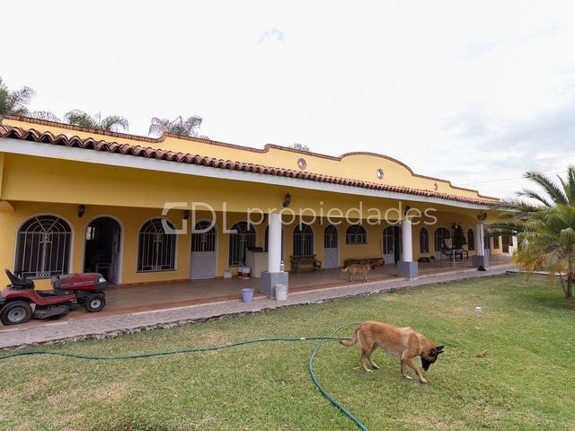 place photo 47