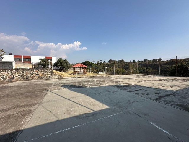 place photo 17