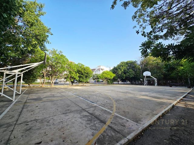 place photo 14